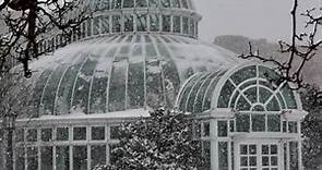 Brooklyn Botanic Garden is Offering Free Admission All Winter