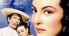 Maclovia (1948) Online - Película Completa en Español / Castellano - FULLTV