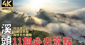 2023南投溪頭深度旅遊｜銀杏森林｜大崙山變幻萬千的夕陽與雲海！ 11 must-see attractions in Nantou Xitou are in Taiwan