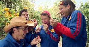 Imagination Movers - Dance Kung Fu (Official Video)