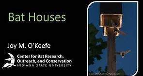 All About Bat Houses