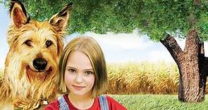 Because of Winn-Dixie Full Movie Fact & Review in English / Jeff Daniels / Cicely Tyson