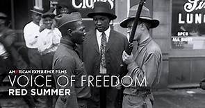 Red Summer | Voice of Freedom | American Experience | PBS