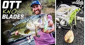 How to Choose Spinnerbaits for Bass Fishing