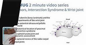 Wrist Extensors, Intersection Syndrome & Wrist joint - 2 min series MSKUS