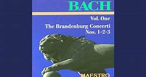 Brandenburg Concerto No. 3 In G Major, BWV 1048, Allegro