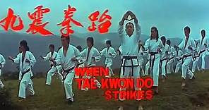 When Taekwondo Strikes 1973