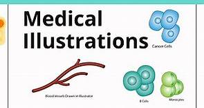 What are medical Illustrations? Who is a medical illustrator? | Types of Medical Illustrations