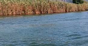 Croisière en bateau sur le fleuve Dalyan 🇹🇷🩵 | Tunisiebooking.com