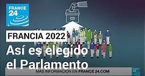 Así son elegidos los 577 diputados del Parlamento francés • FRANCE 24 Español