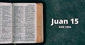 Juan 15 - Reina Valera 1960 (Biblia en audio)