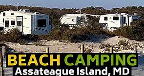 East Coast Beach Camping at Assateague Island Camping - Maryland
