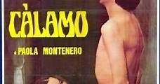 Calamus / Càlamo (1976) Online - Película Completa en Español - FULLTV
