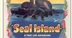 Seal Island (1948) en cines.com