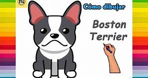 Cómo dibujar un Boston Terrier fácil paso a paso | No.9 ARTES