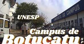 Universidade Estadual Paulista "Júlio de Mesquita Filho" UNESP CAMPUS DE BOTUCATU-SP