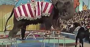 1977 El Gran Circo de TVE Los payasos de la tele
