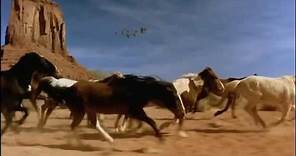 Video de caballos salvajes corriendo libres en la playa y campo