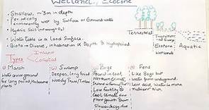 Wetlands, types and their characteristics