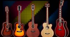 Mas Guitarras De 12 Cuerdas accesibles y chingonas