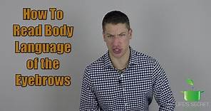 How To Read Body Language Of The Eyebrows