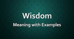 Wisdom Meaning with Examples