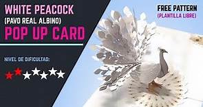 TUTORIAL PAVO REAL (PEACOCK) POP UP CARD Plantilla gratuita (free pattern) 2020