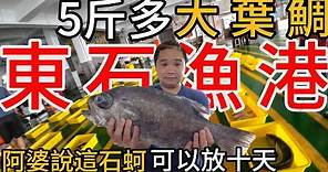 嘉義東石漁港丨五斤多大葉鯛丨阿婆當天從石壁上敲下來的石顆一大包不用200
