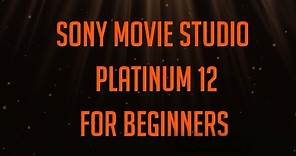 Sony Movie Studio Platinum 12 for beginners