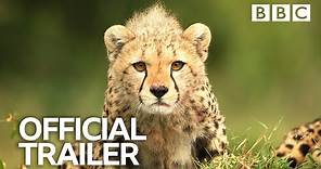 Serengeti II | Trailer - BBC