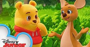 Playdate with Winnie the Pooh | Kanga and Hide-and-Seek | Episode 5 | @disneyjunior