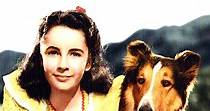 El coraje de Lassie - película: Ver online en español