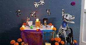 (Video) Así celebran el 27 de octubre, el día de muertos de mascotas en México