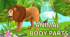 Learn the Animal Body Parts