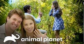 Bindi y Chandler se comprometen en el zoológico | Los Irwin | Animal Planet