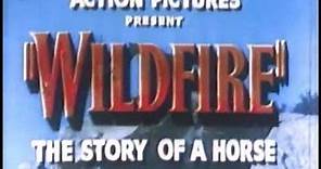 Wildfire, the Story of a Horse (1945) - Full Western Movie with Bob Steele