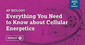 2021 Live Review 2 | AP Biology | Everything You Need to Know about Cellular Energetics