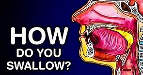 SWALLOWING OR DEGLUTITION - ANATOMY AND PHYSIOLOGY