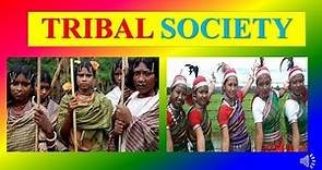TRIBAL SOCIETY - meaning , definition , characteristics, features , problems ,welfare