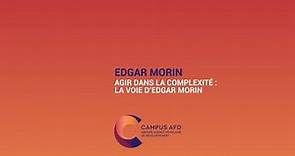 Edgar Morin : Agir dans la complexité, la voie d'Edgar Morin