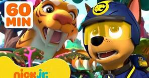 PAW Patrol Daring Jungle Pups Rescues with Animals & More! w/ Chase and Skye 🐯 1 Hour | Nick Jr.