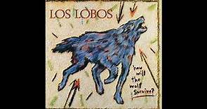 Los Lobos How Will the Wolf Survive 1984 FULL ALBUM Vinyl Rip