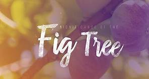 What is the biblical significance of the Fig Tree?