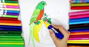 Letter Q Quetzal Bird coloring pages preschool - Learning colors and Alphabets for Kids