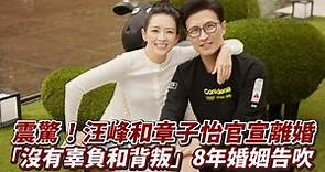 章子怡汪峰離婚／8年婚姻終止「分離不代表背叛」…她曾說2個人好就什麼都好，154億財產如何分割？