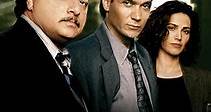 NYPD Blue: Season 3 Episode 22 He's Not Guilty, He's My Brother