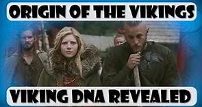 Origin of the Vikings: Viking DNA Revealed