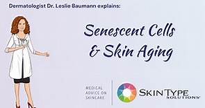 What is cellular senescence and why is it important in skin aging?