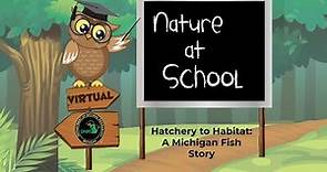 Hatchery to Habitat: A Michigan Fish Story