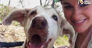 Dog Who Spent 7 Years In The Shelter Is SO Happy To Have A Family | The Dodo Faith = Restored